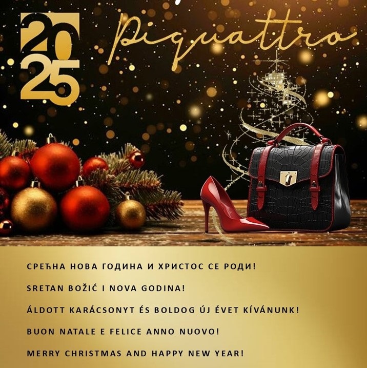 NEWSLETTER DECEMBAR 2024